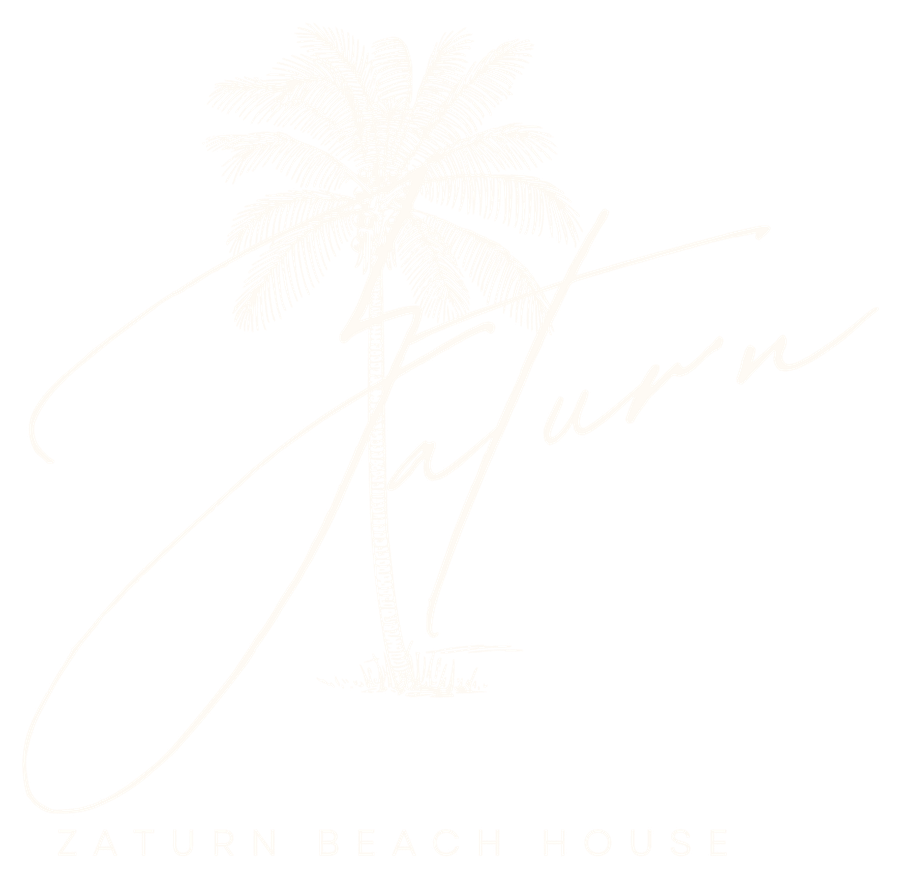 Logotipo de Zaturn Beach House: palmera con la firma Zaturn
